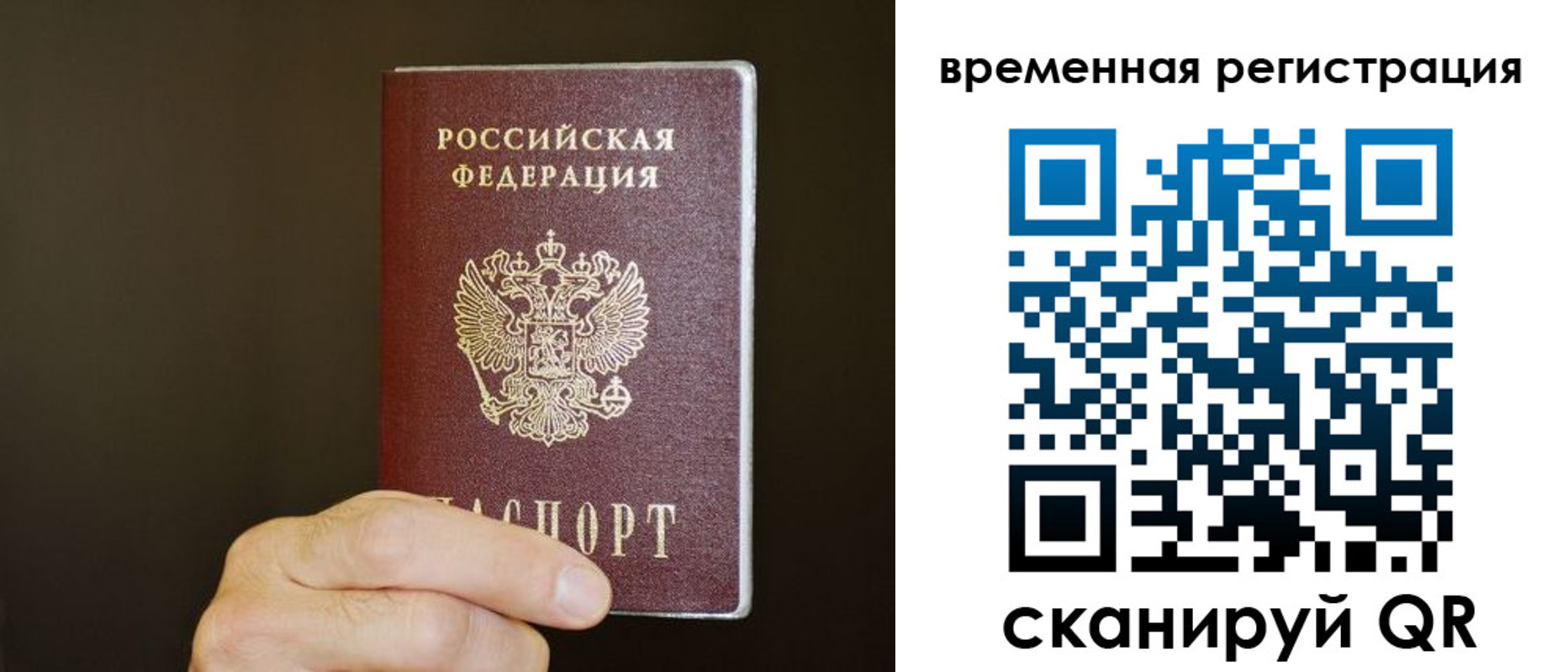 прописка гарантия в Аше